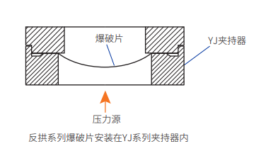 反拱鳄齿型爆破片安全装置安装示意图.png